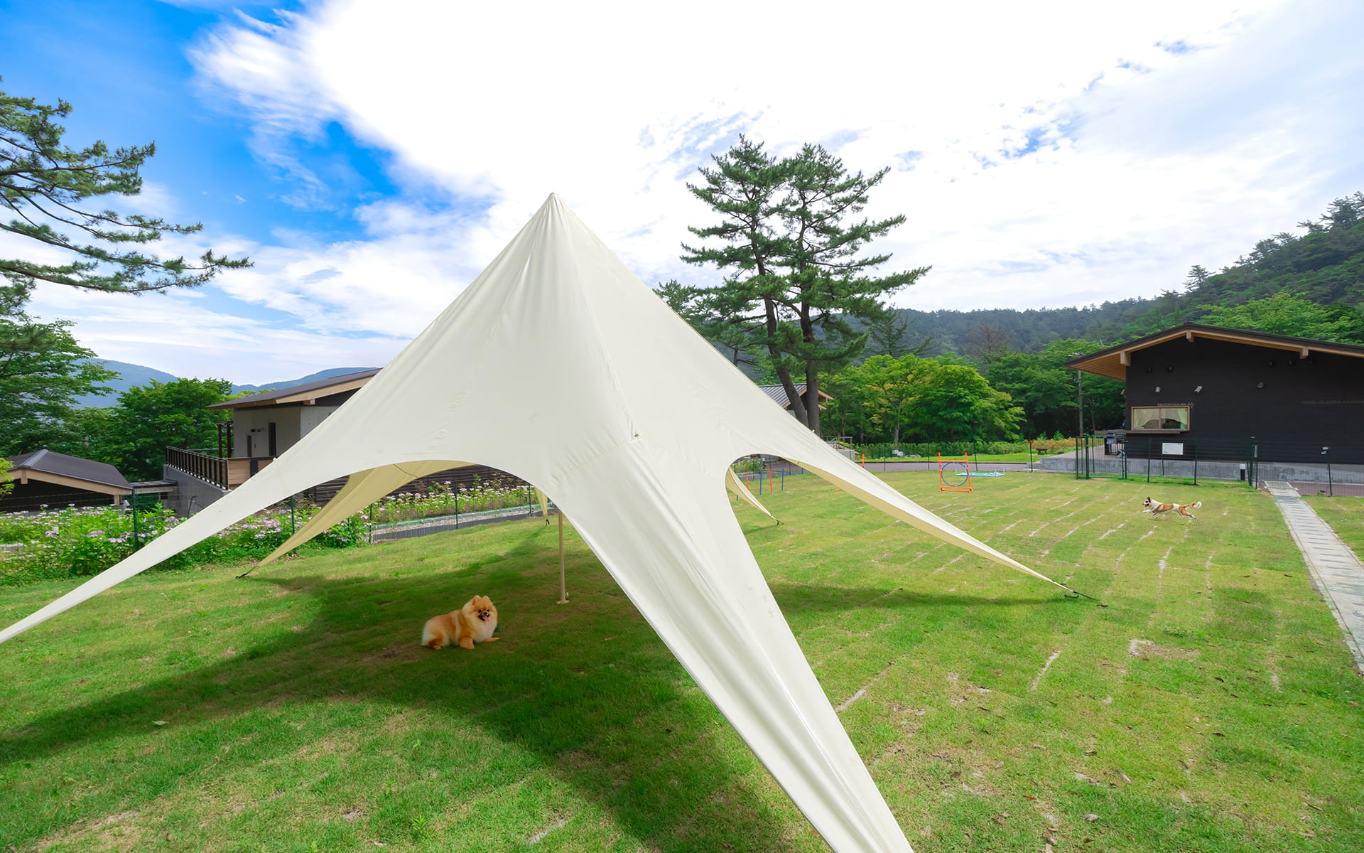 Rotenburo Guide: Japan's Best Outdoor Hot Spring Baths - JaCamp