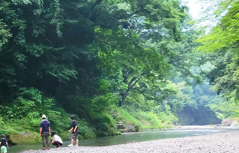 Cottage Shinrinmura in Japan