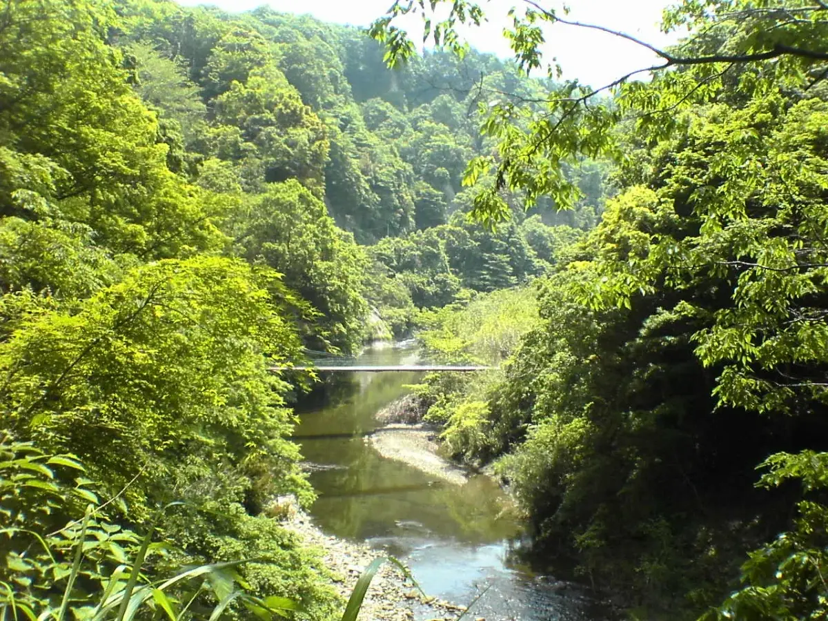 Sengokudai Auto Campground in Japan