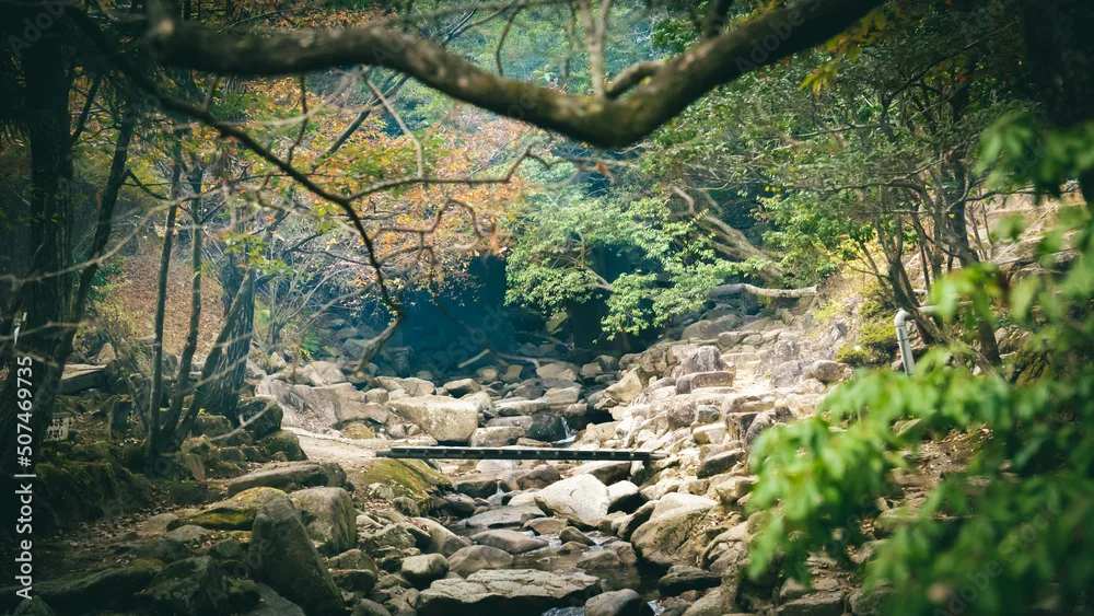 Feel Nature Campbase in Japan