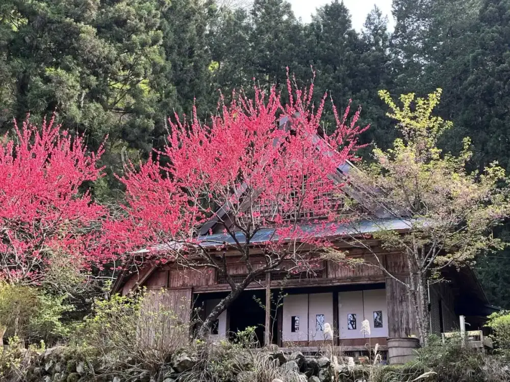Private Camp TSUMUGI in Japan