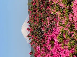 Sugiyama Azalea Garden RV Park in Japan