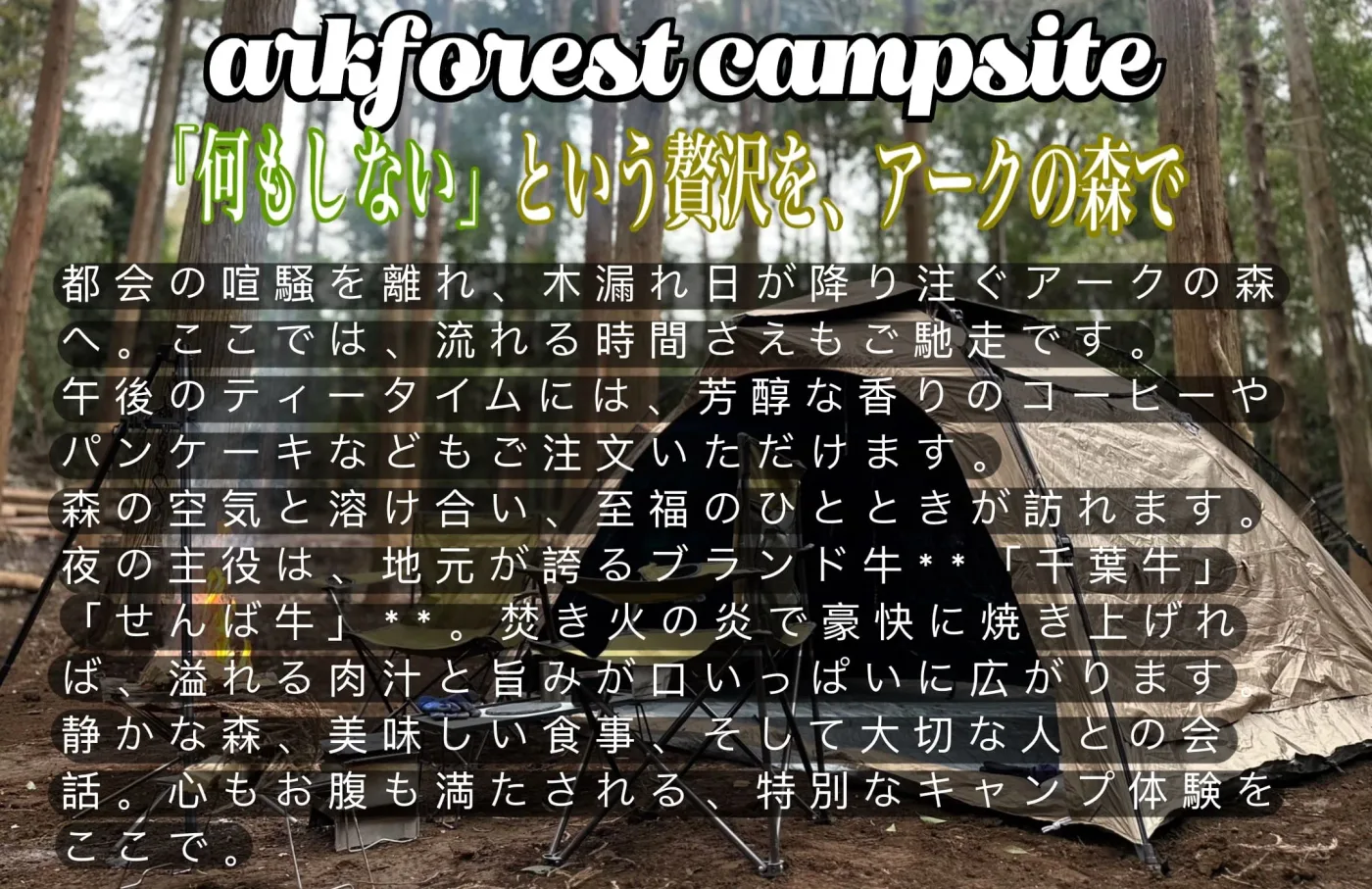 Ark Forest Campsite in Japan