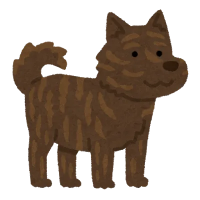 Nishitanzawa Otaki Campsite in Japan