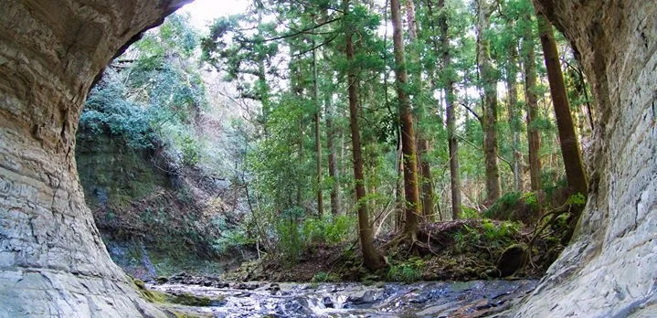 Oku Kome Ki Village Farm in Japan