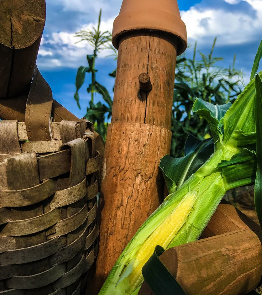 Arino Mi En Auto Campground in Japan