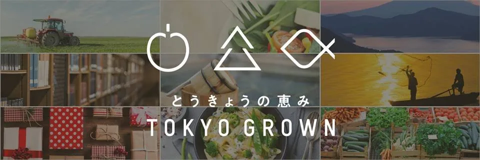 Ooba Camp Village in Japan