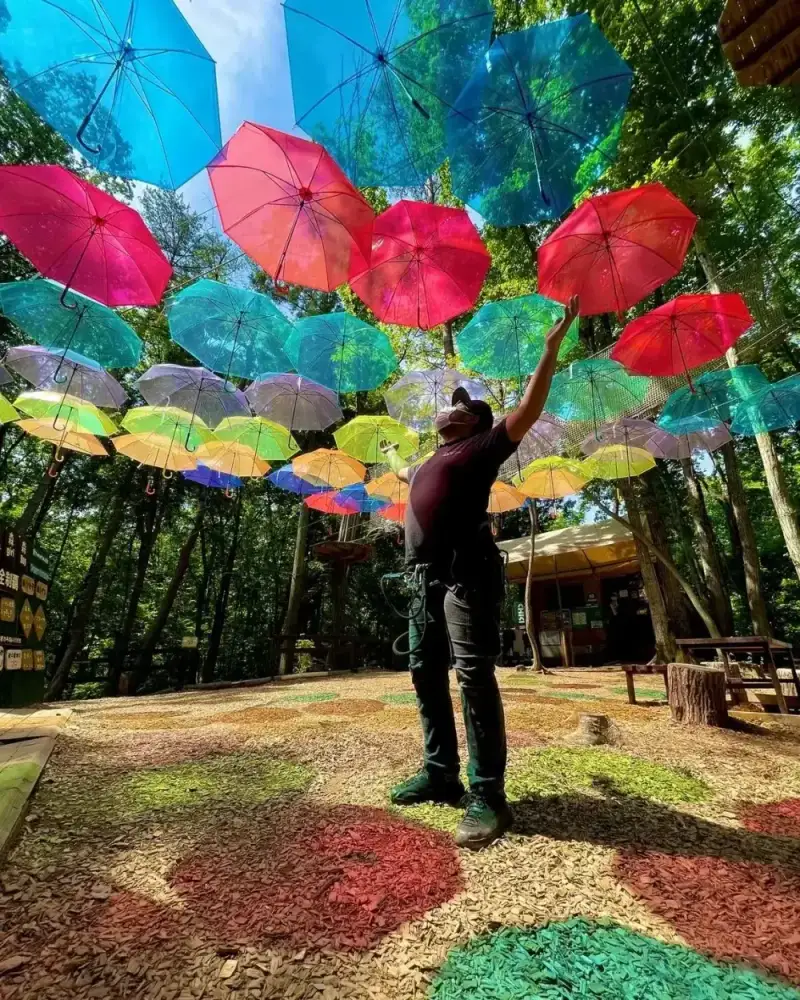 Forest Adventure Chichibu in Japan