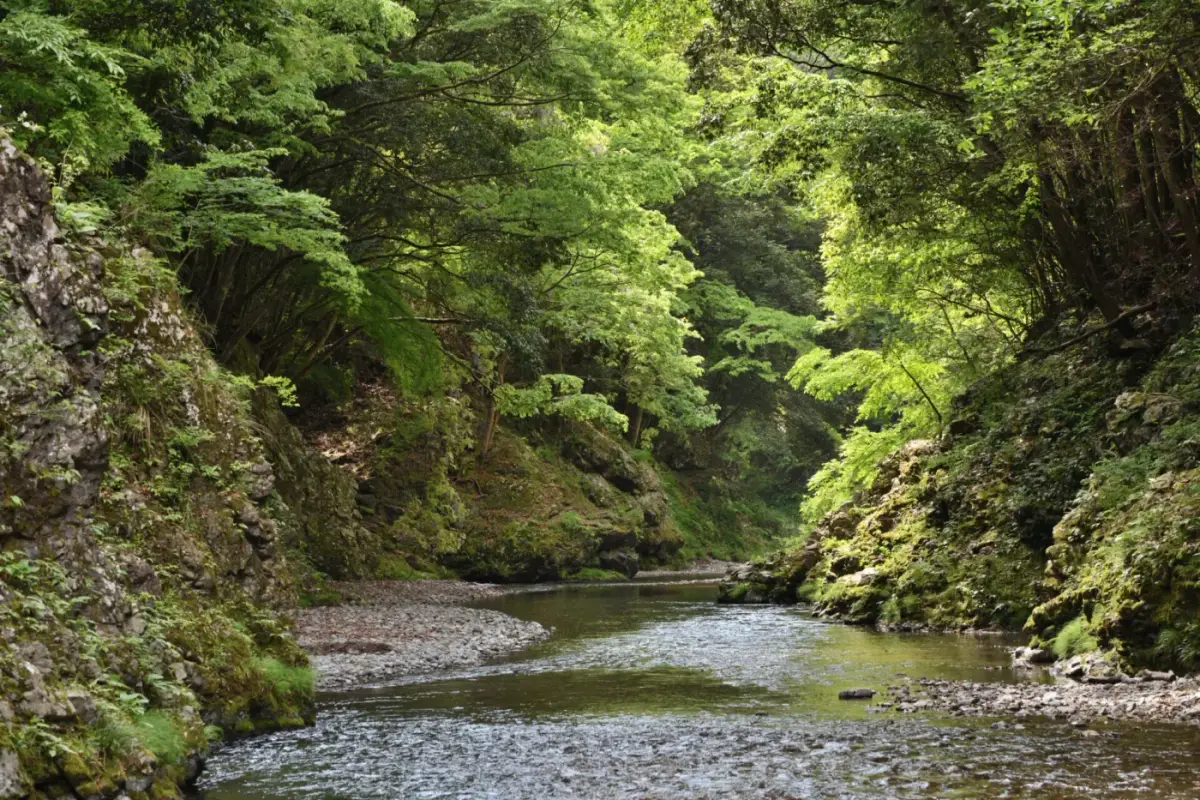 Magonote Village in Japan
