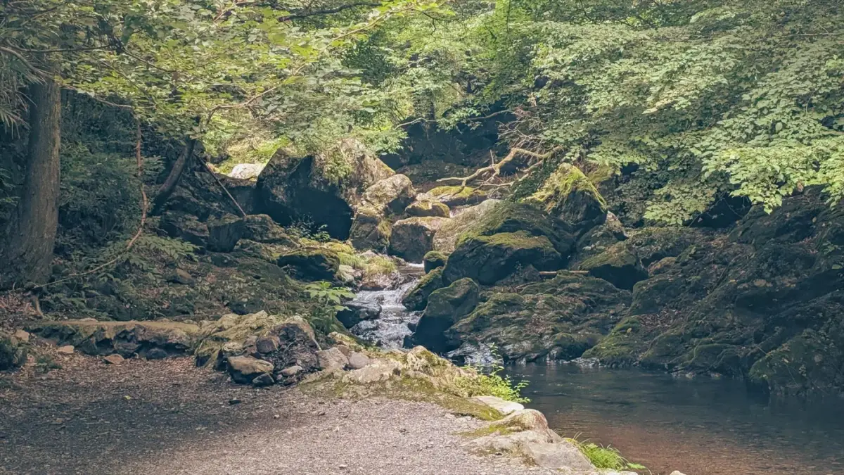 Naka Chaya Campground in Japan