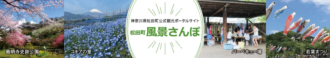 Kiyotsu Gorge Campsite in Japan