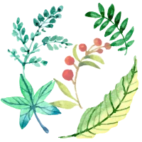 Forest Sands Nagatoro in Japan