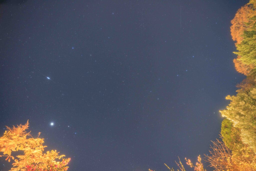 The Base Glamping Yugawara guest tents